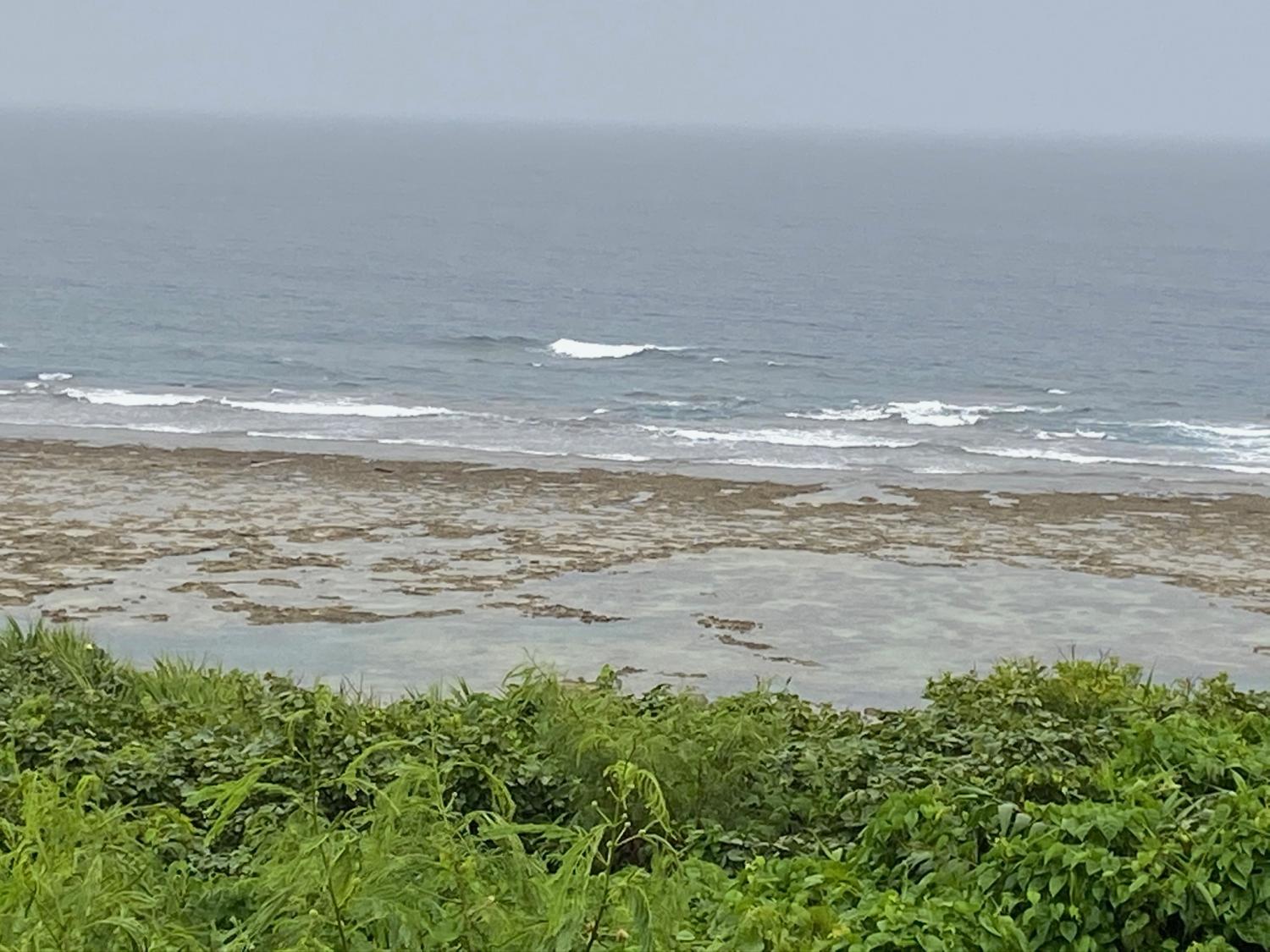 2020 Jul 17th suicide point wave information 4