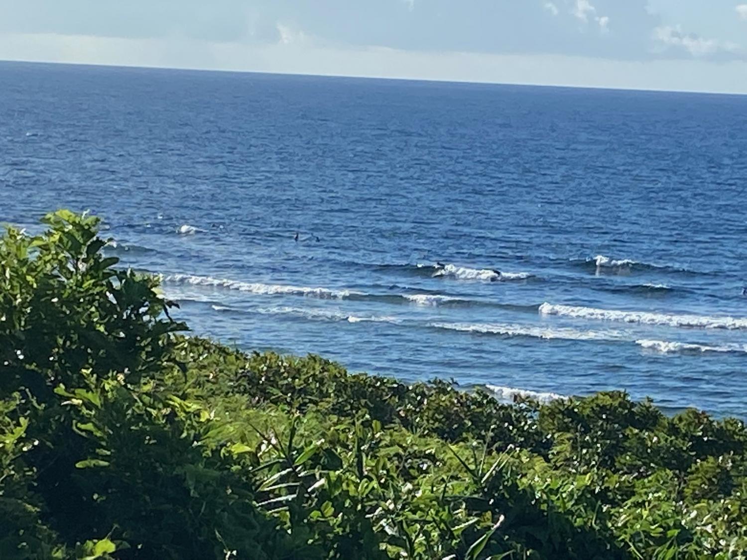 2020 Jul 20th suicide point wave information 3