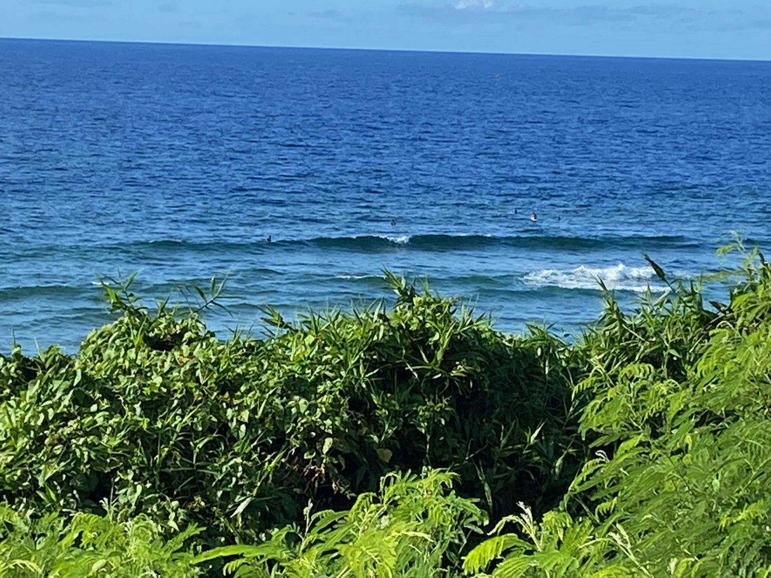 2020 Jul 23th suicide point wave information 1