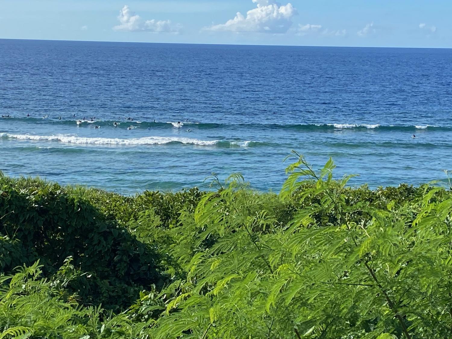 2020 Jul 23th suicide point wave information 3