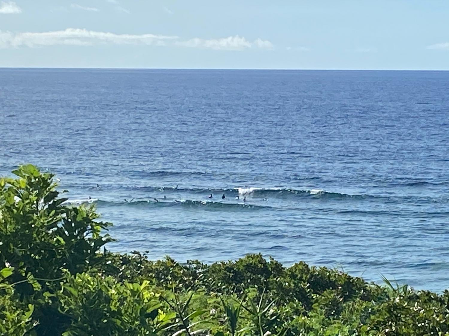 2020 Jul 23th suicide point wave information 4
