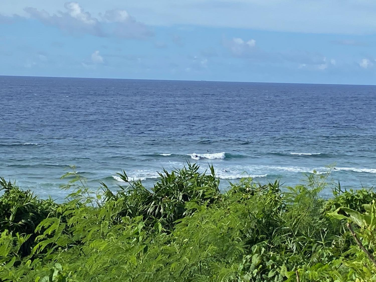2020 Jul 24th suicide point wave information 4