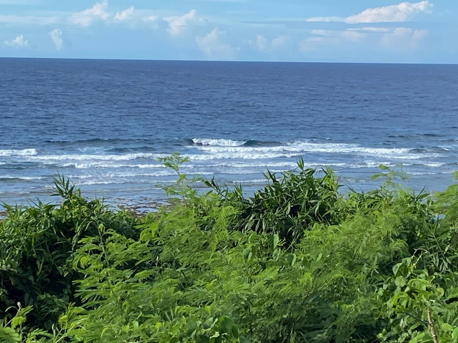 2020 Jul 27th suicide point wave information 4