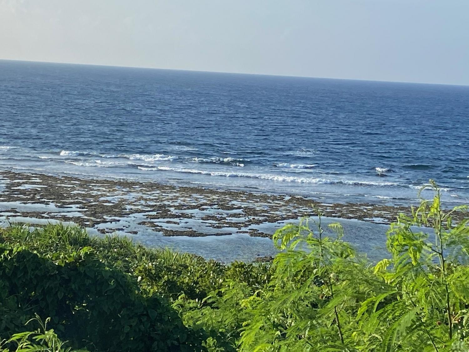 2020 Jul 28th suicide point wave information 1