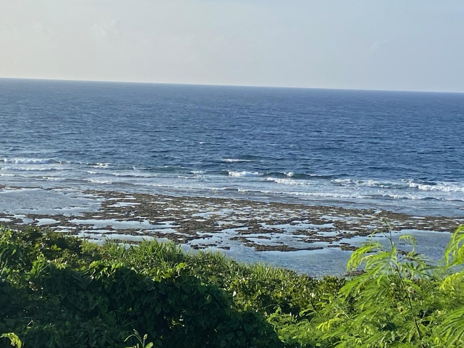 2020 Jul 28th suicide point wave information 2