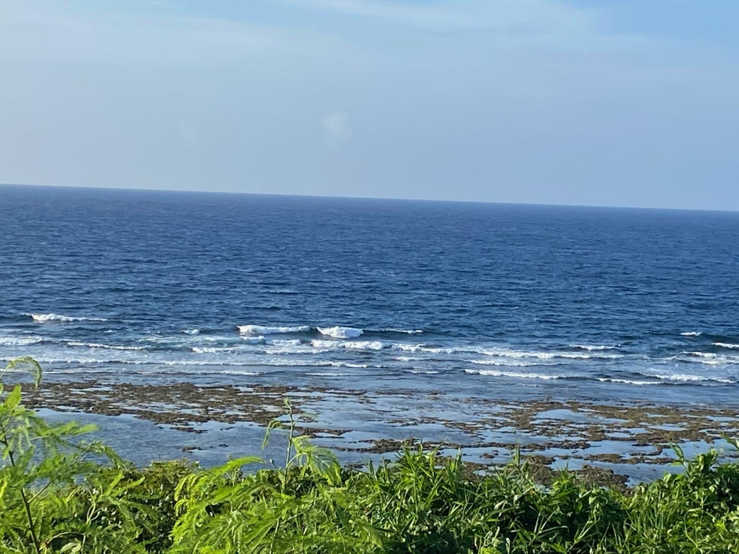 2020 Jul 28th suicide point wave information 3