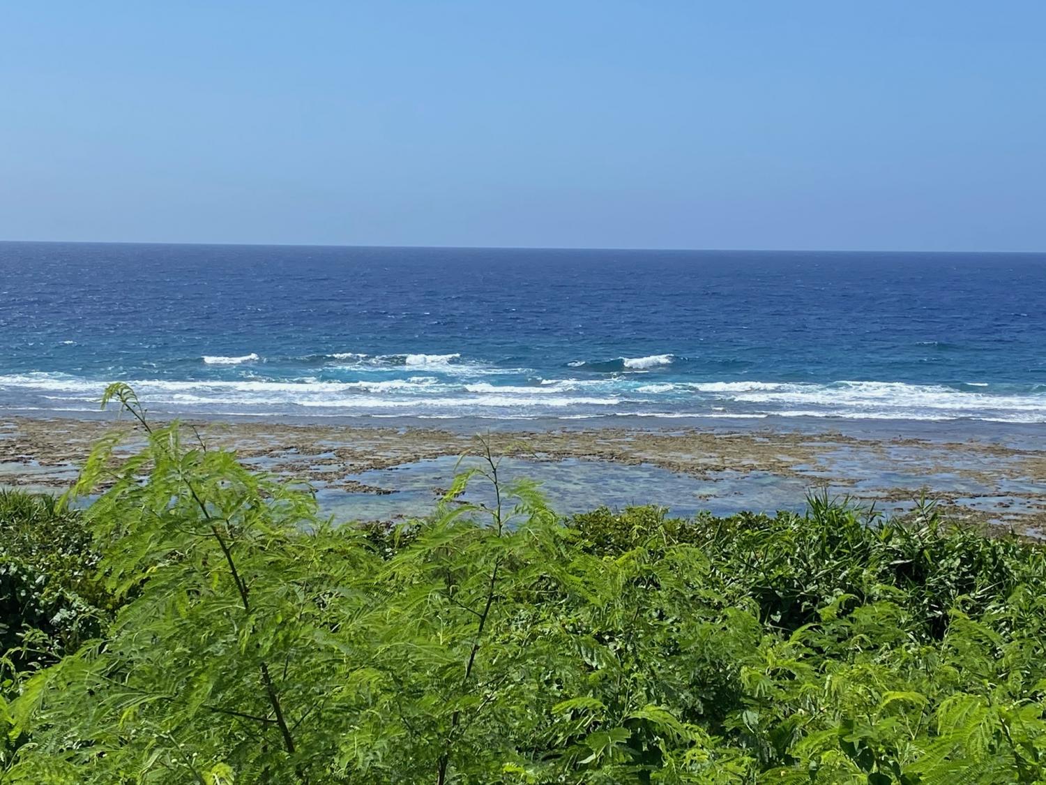 2020 Jul 30th suicide point wave information 2