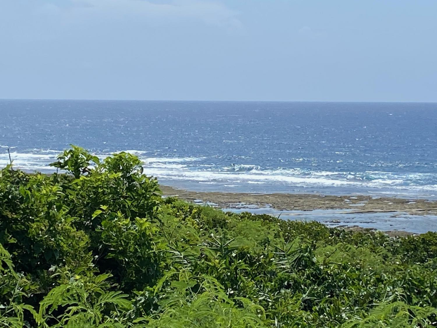 2020 Jul 31th suicide point wave information 2