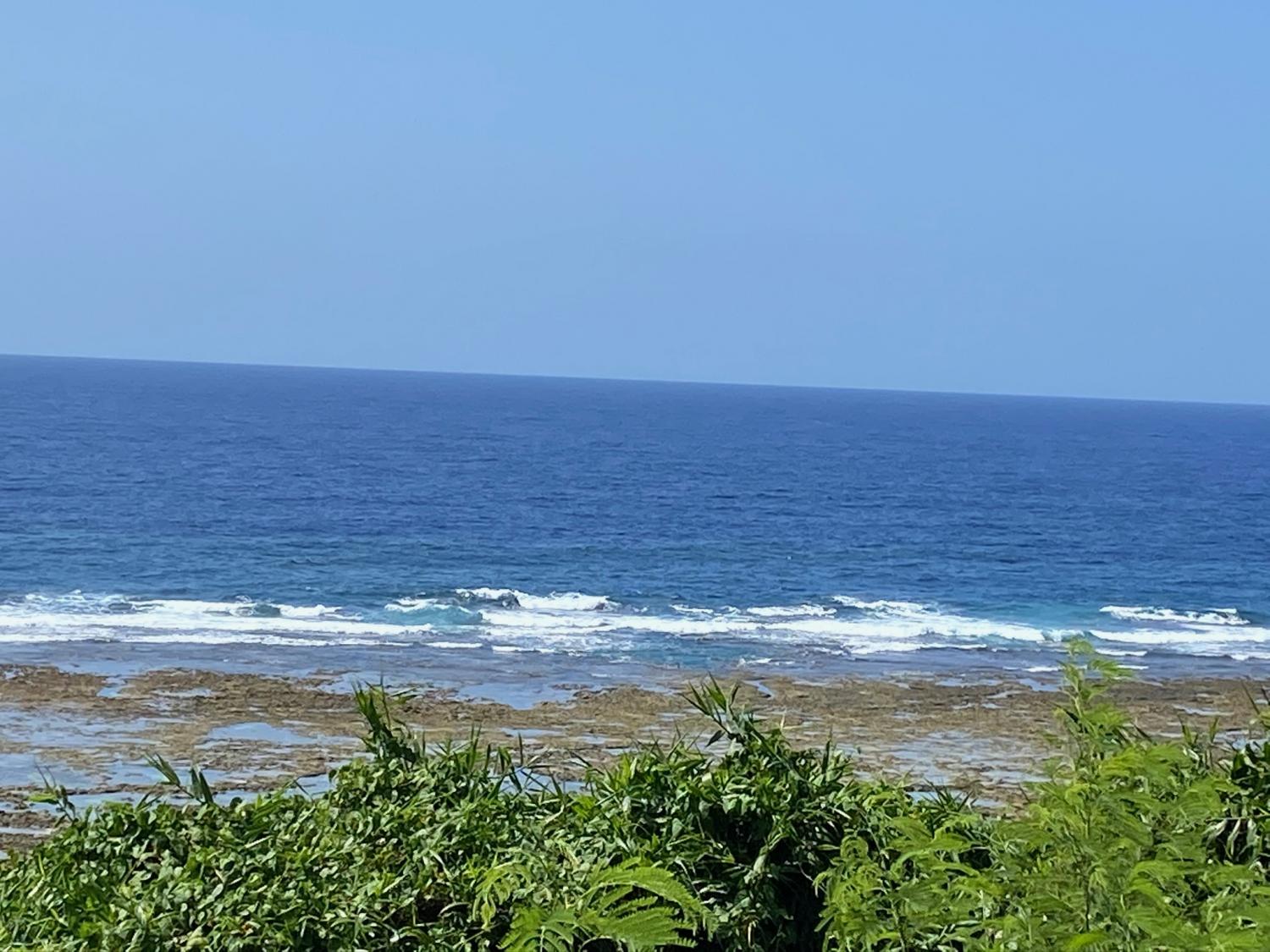 2020 Jul 31th suicide point wave information 5