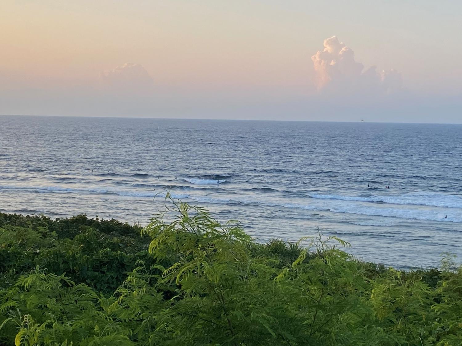 2020 Aug 1st suicide point wave information 1
