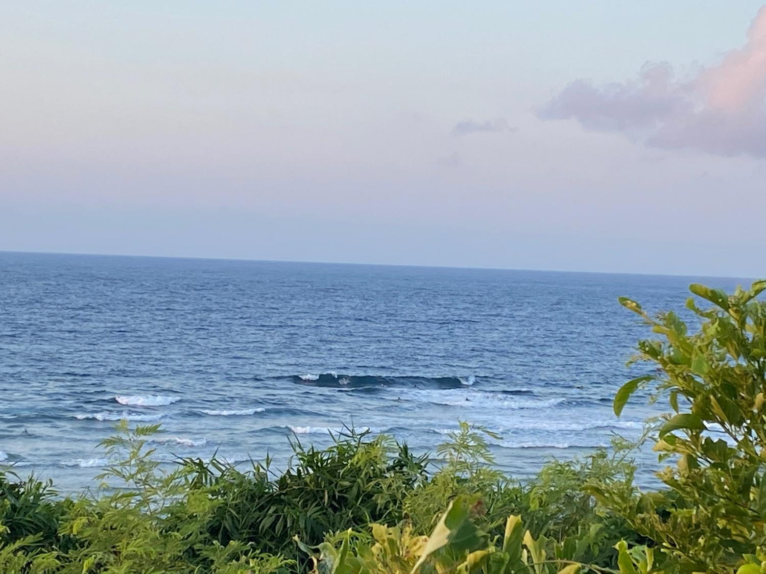 2020 Aug 1st suicide point wave information 3