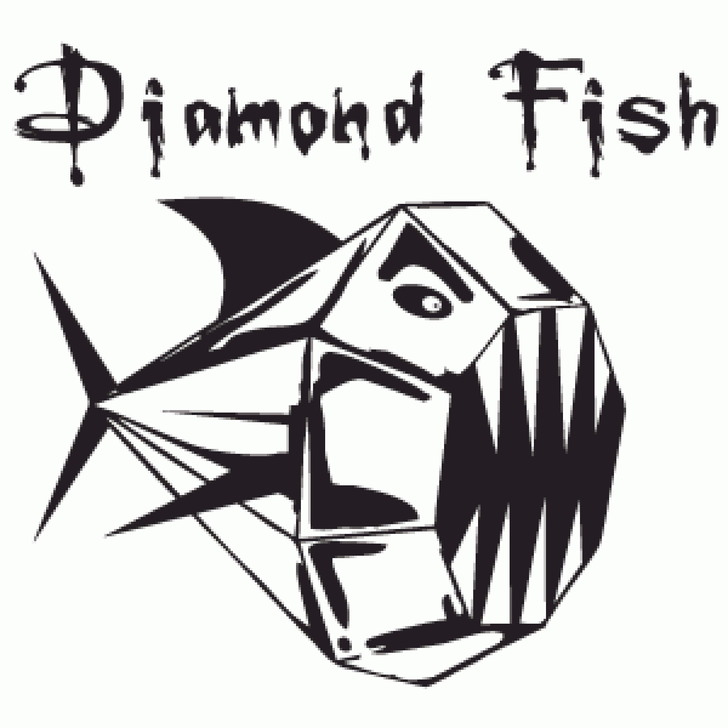 Today's YES SURFER 「Roberts Diamond Fish 5.6」
