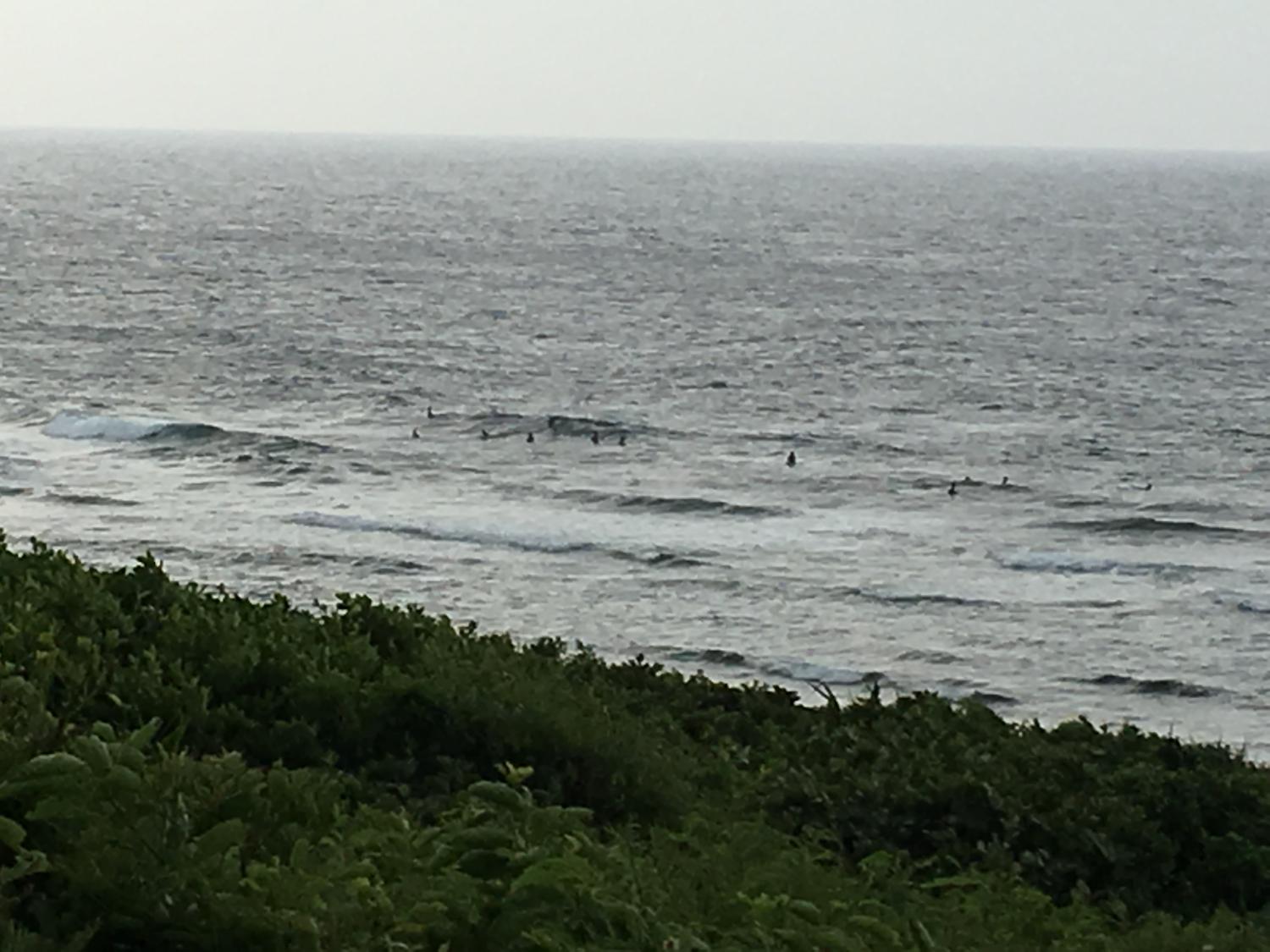 Aug 7 suicide point wave information