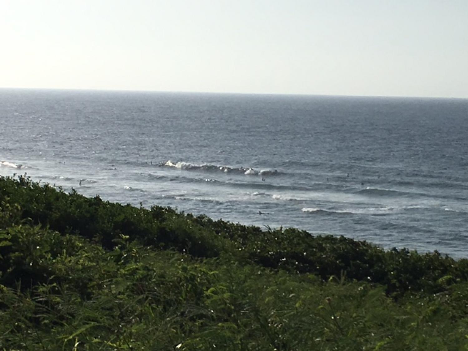 Aug 8 suicide point wave information 4