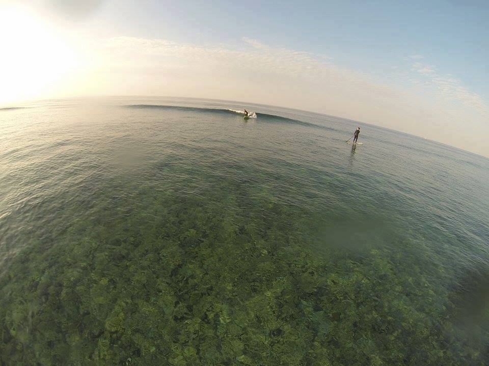 Okinawa SUP School