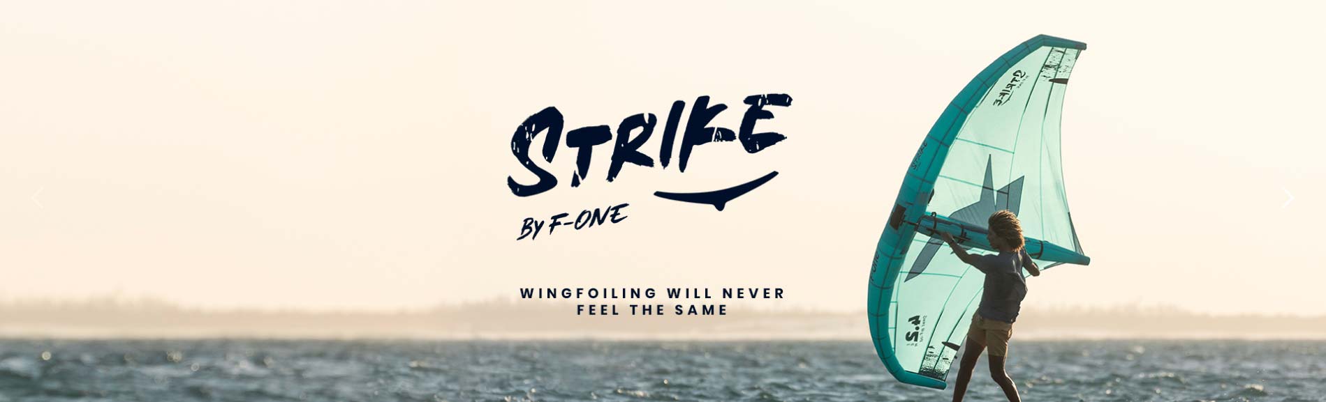 ウィングフォイル F-ONE STRIKE  CWC6.0㎡